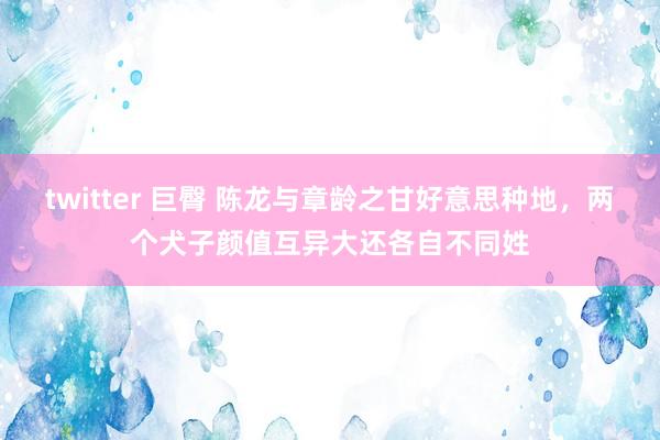 twitter 巨臀 陈龙与章龄之甘好意思种地，两个犬子颜值互异大还各自不同姓