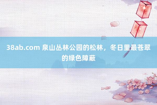 38ab.com 泉山丛林公园的松林，冬日里最苍翠的绿色障蔽