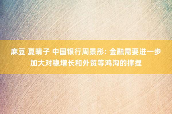 麻豆 夏晴子 中国银行周景彤: 金融需要进一步加大对稳增长和外贸等鸿沟的撑捏