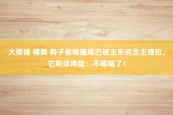 大摆锤 裸舞 狗子偷啃猫尾巴被主东说念主理包，它斯须垮脸：不嘻嘻了！